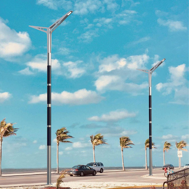 Palo Solare Flessibile HJT a Doppia Testa in Alluminio RARON